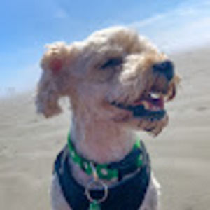 Meet your Posher, Traci